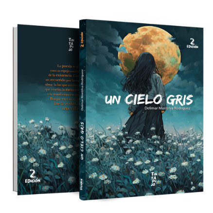 Un cielo gris